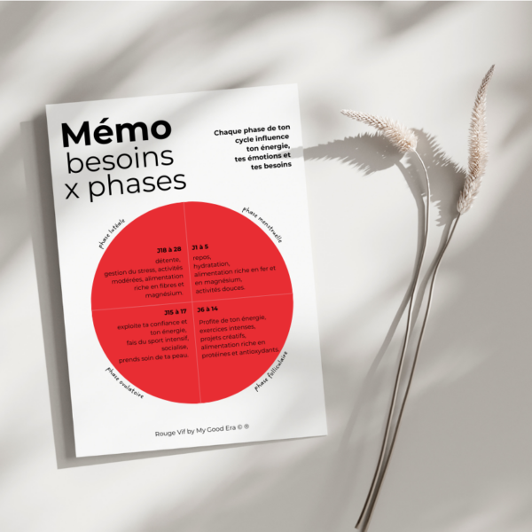 mémo besoins x phases du cycle